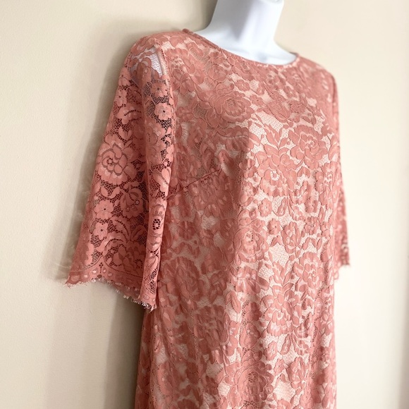 HITHERTO | BHLDN Pink Lace Half Sleeve Shift Mini Dress Women's Size 10 - Picture 4 of 10